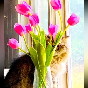 💐Hello, Beauty 💐